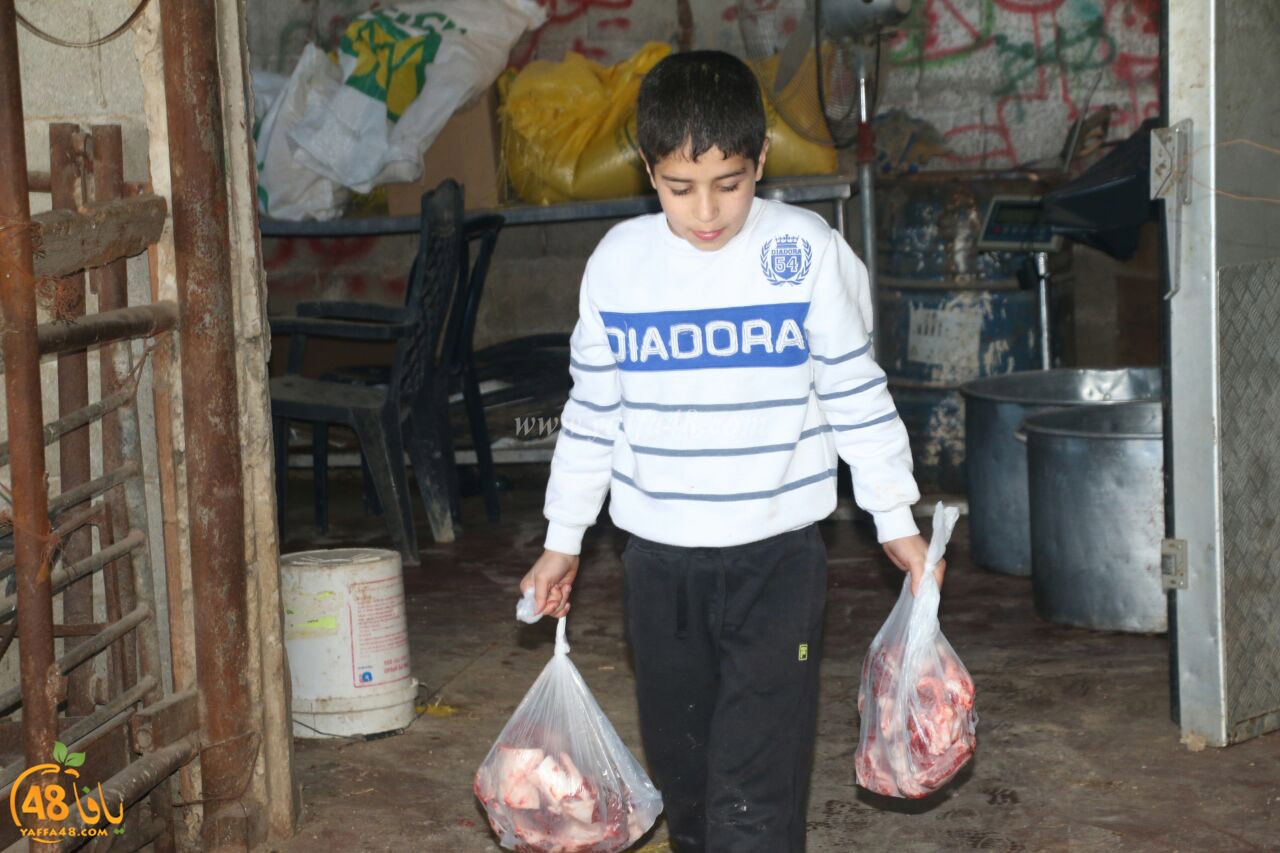 3aqeqaj pics (4).jpg